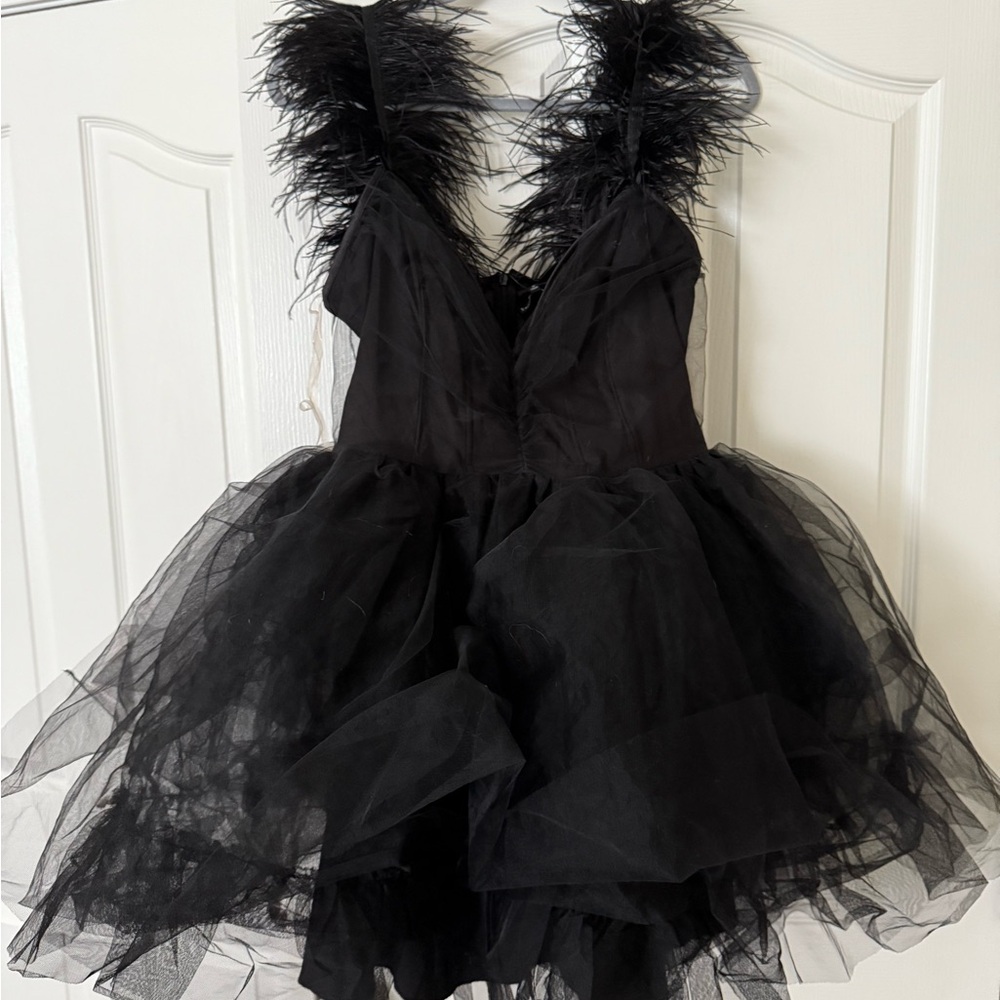 Black Feathered Tulle Dress